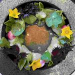 Hokkaido Scallop dressed with flowers and greens as served at RO restaurant & Lounge in Yountville, Napa Valley