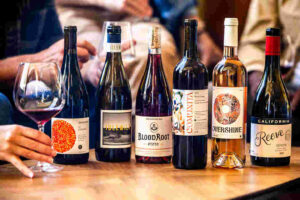 Overshine Collective wines all in a row