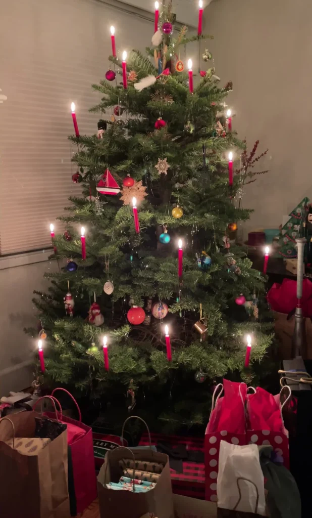 Holiday Gift Guides and Looking to the New Year