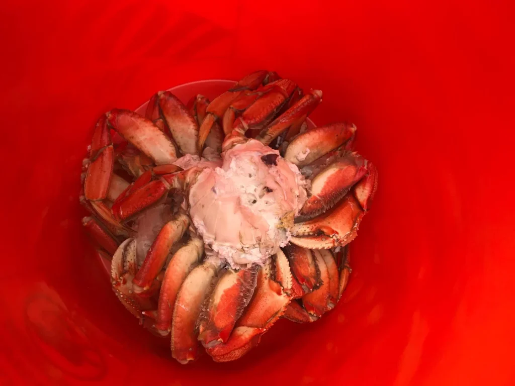 January In All Its Glory